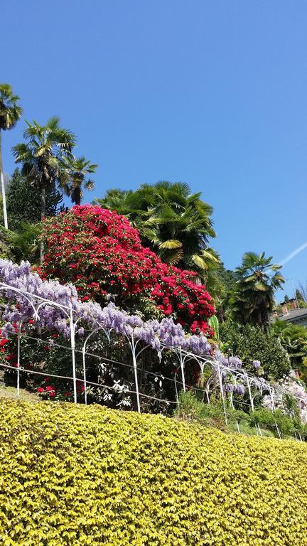 Appartamenti Orta Orta San Giulio Ruang foto