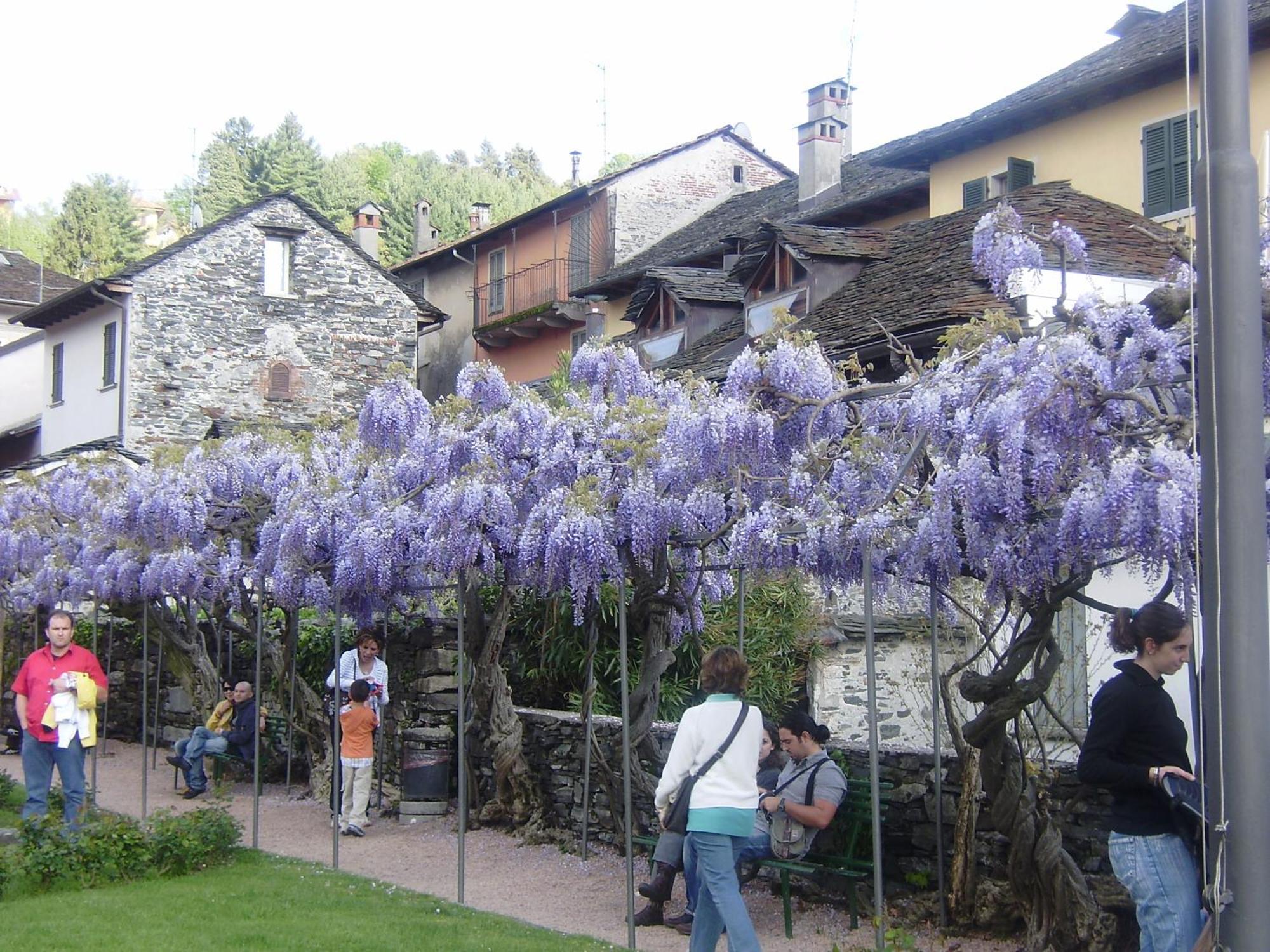 Appartamenti Orta Orta San Giulio Bagian luar foto